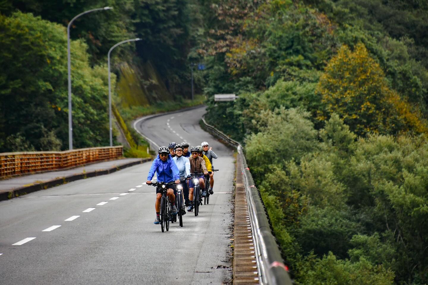 Colors of Autumn: Private Tours in Northern Japan