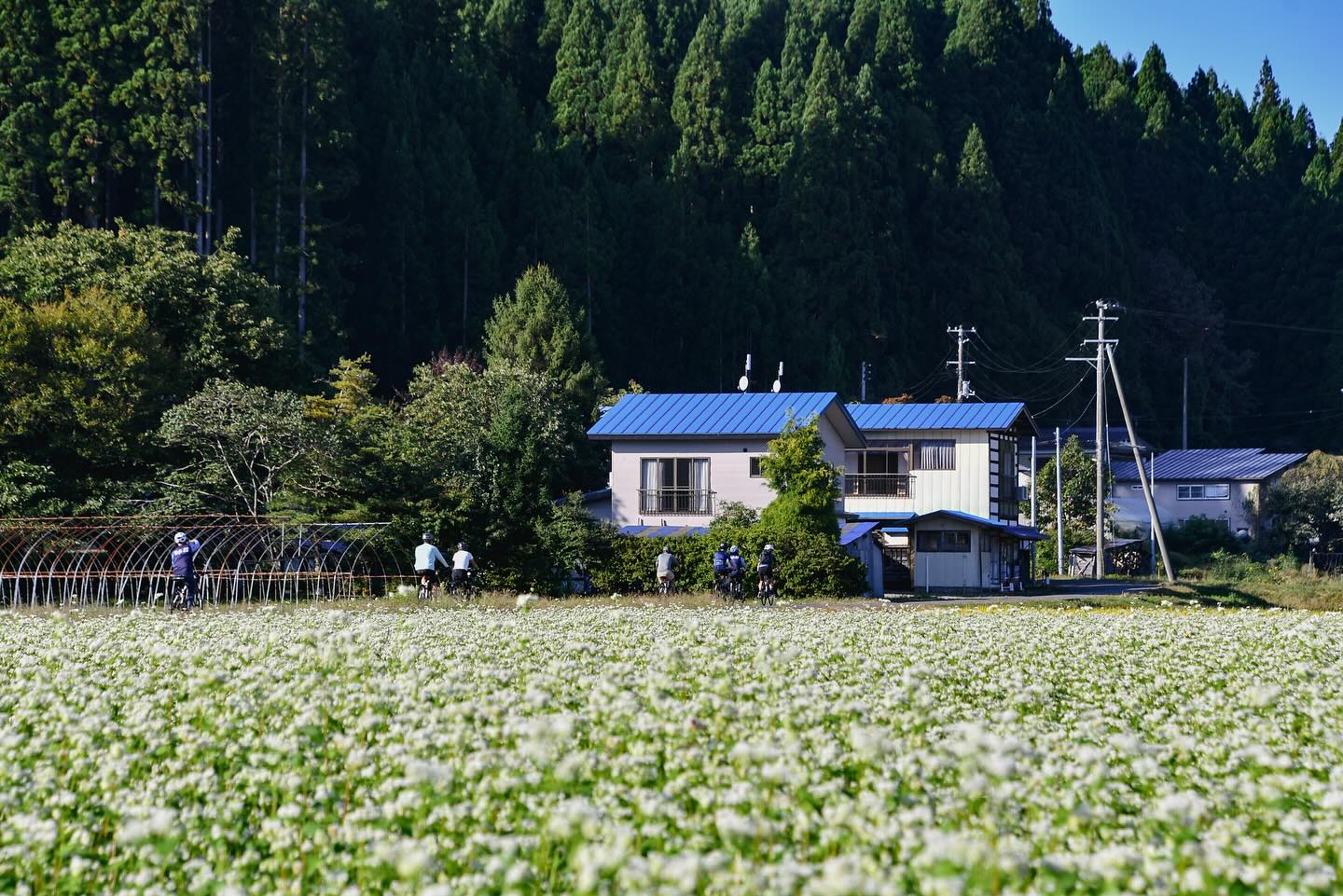 Colors of Autumn: Private Tours in Northern Japan