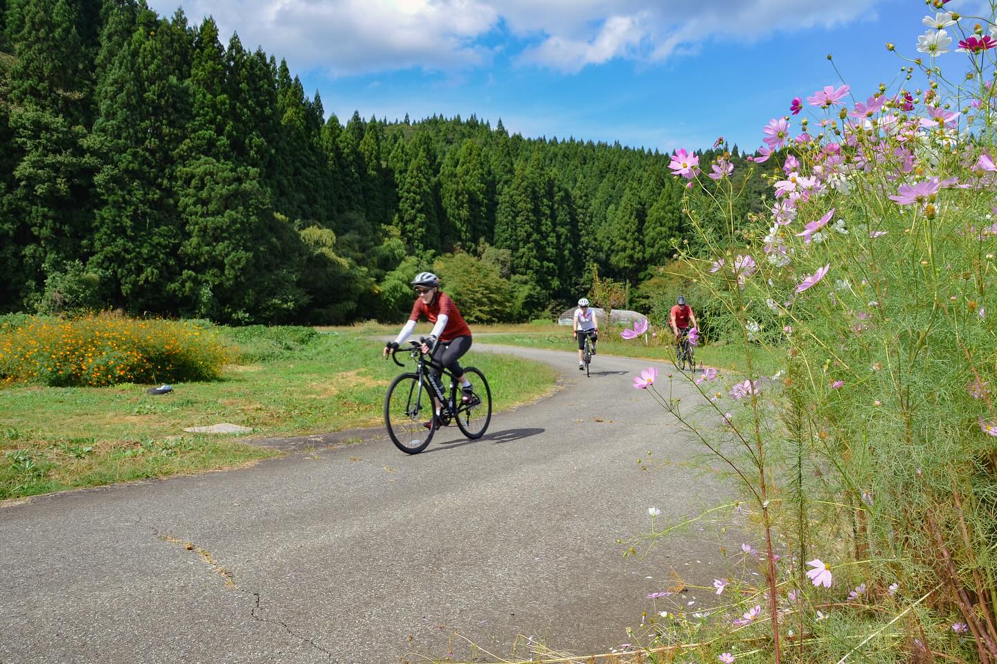 Colors of Autumn: Private Tours in Northern Japan