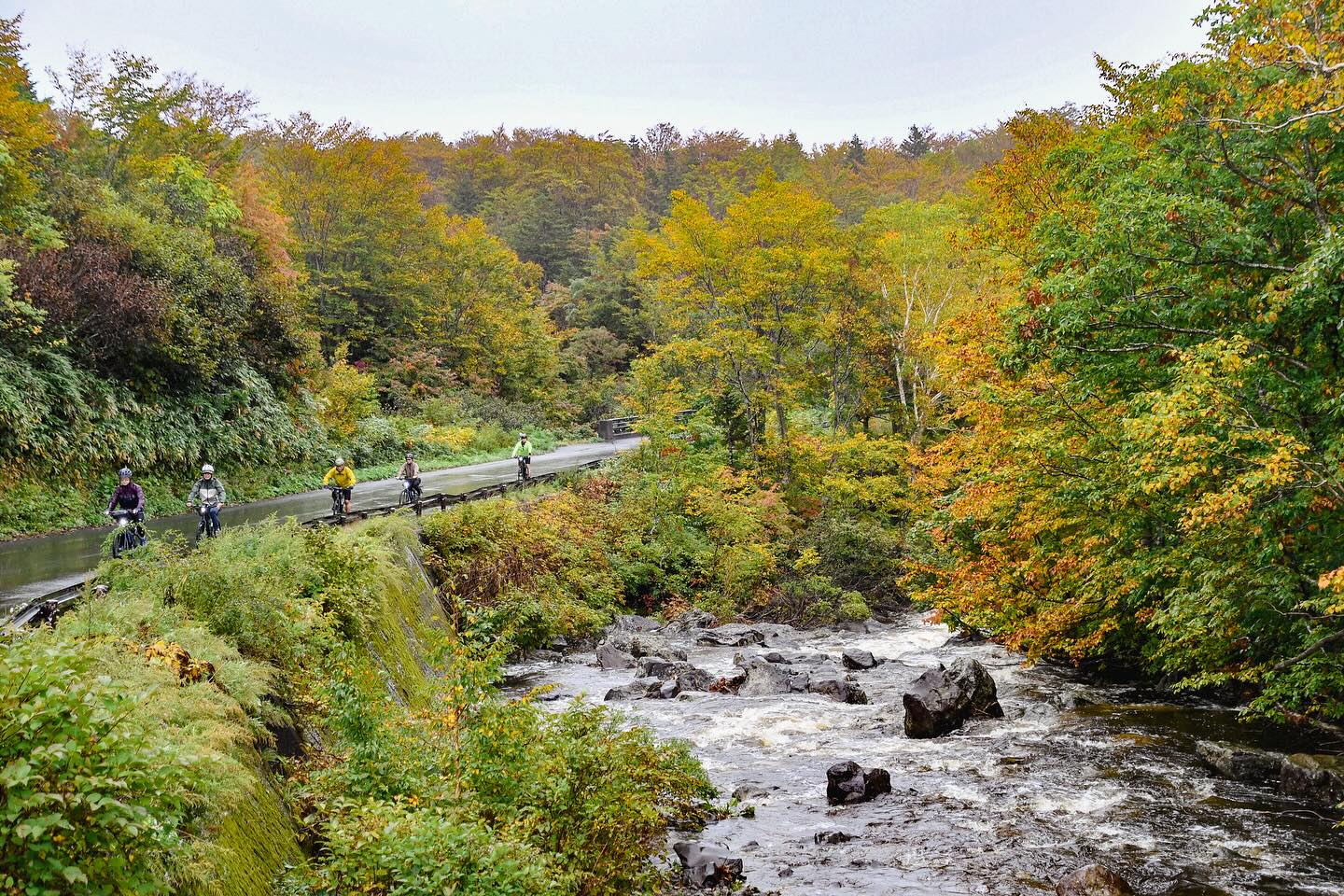 Mystical rides through mossy wet forests