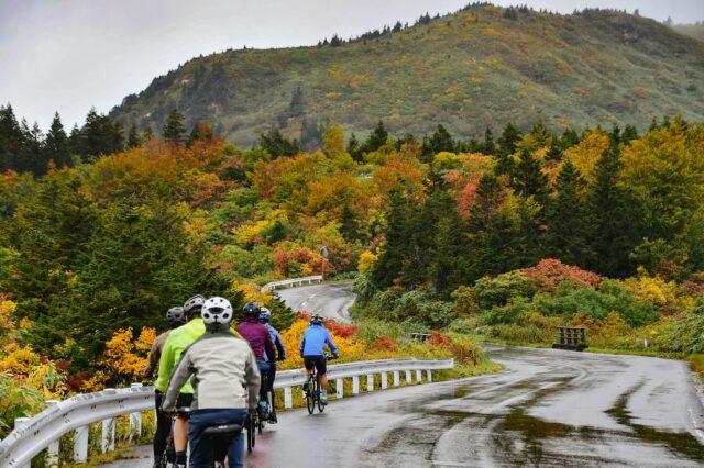 Mystical rides through mossy wet forests