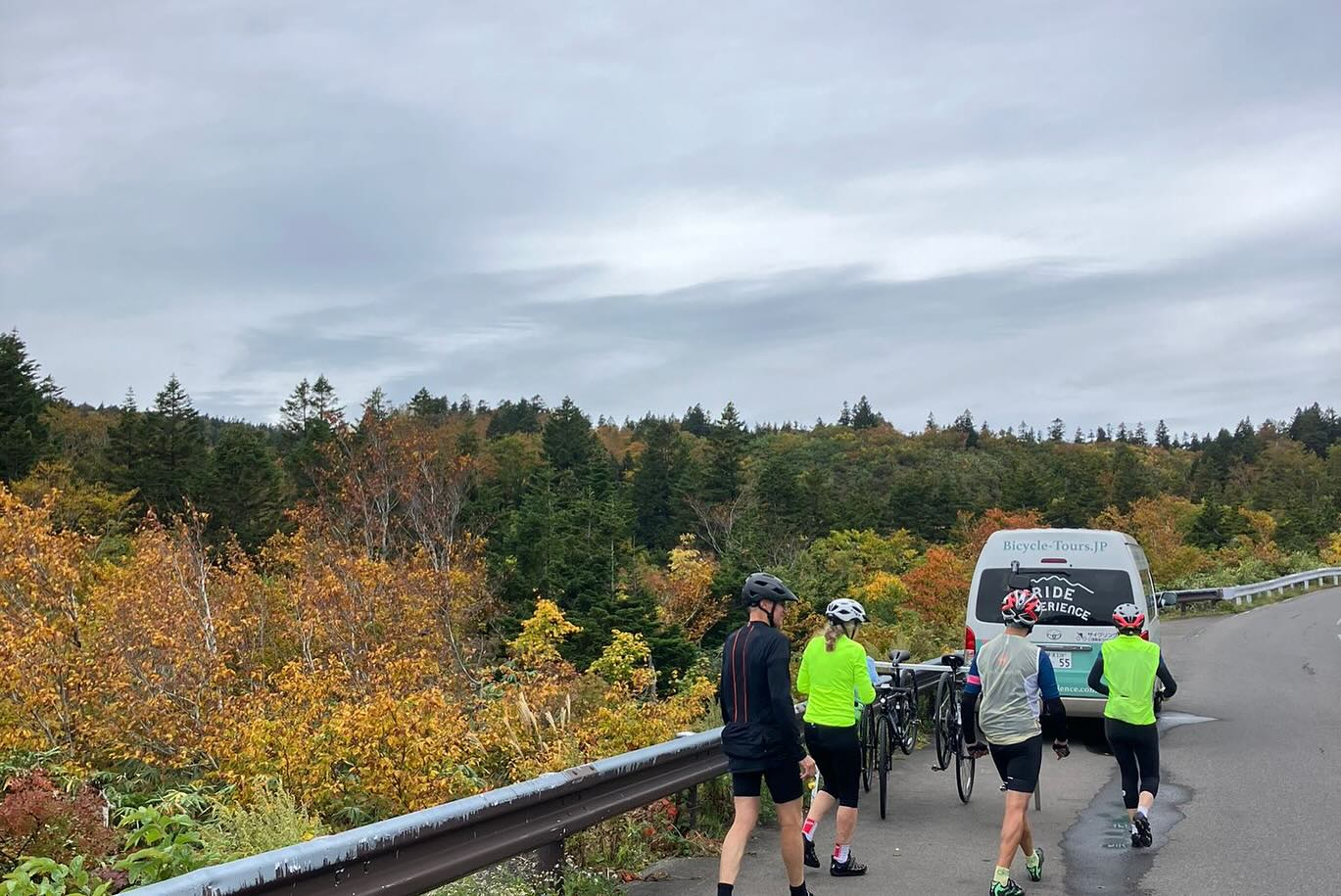 Mystical rides through mossy wet forests