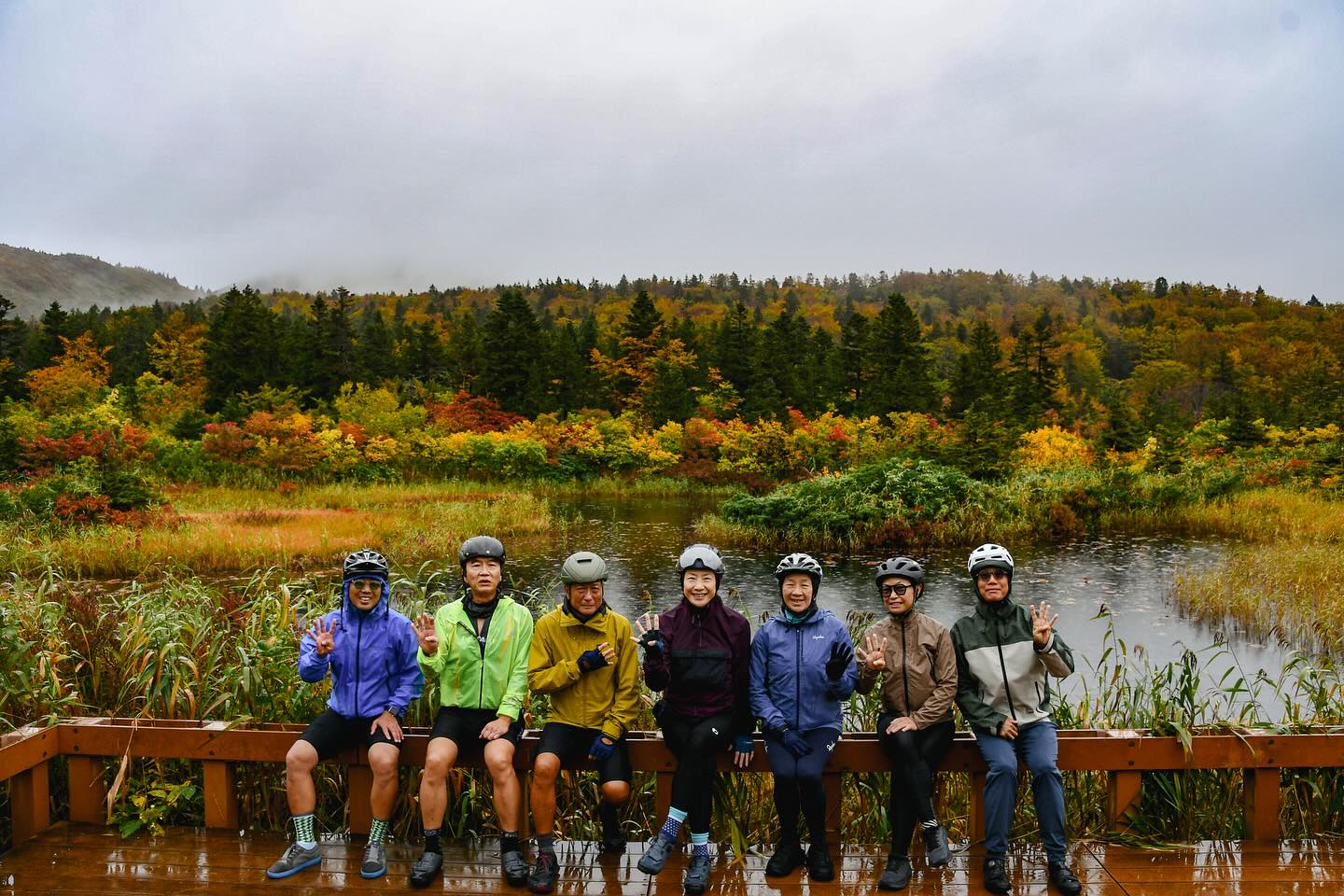 Mystical rides through mossy wet forests