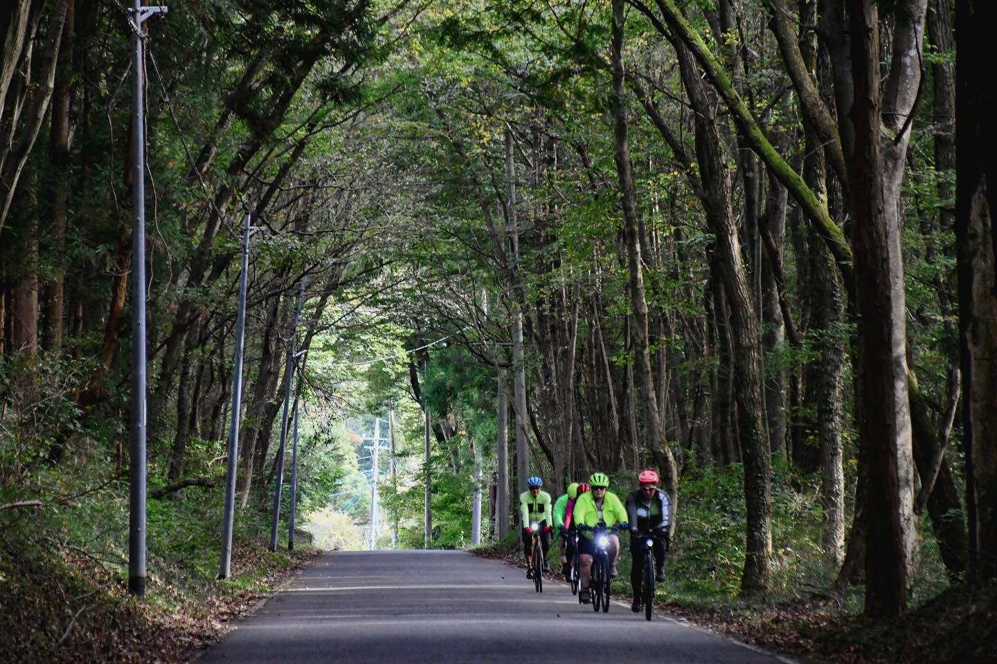 Exploring Nasu by Bike: Hidden Spots and Farm-Fresh Flavors