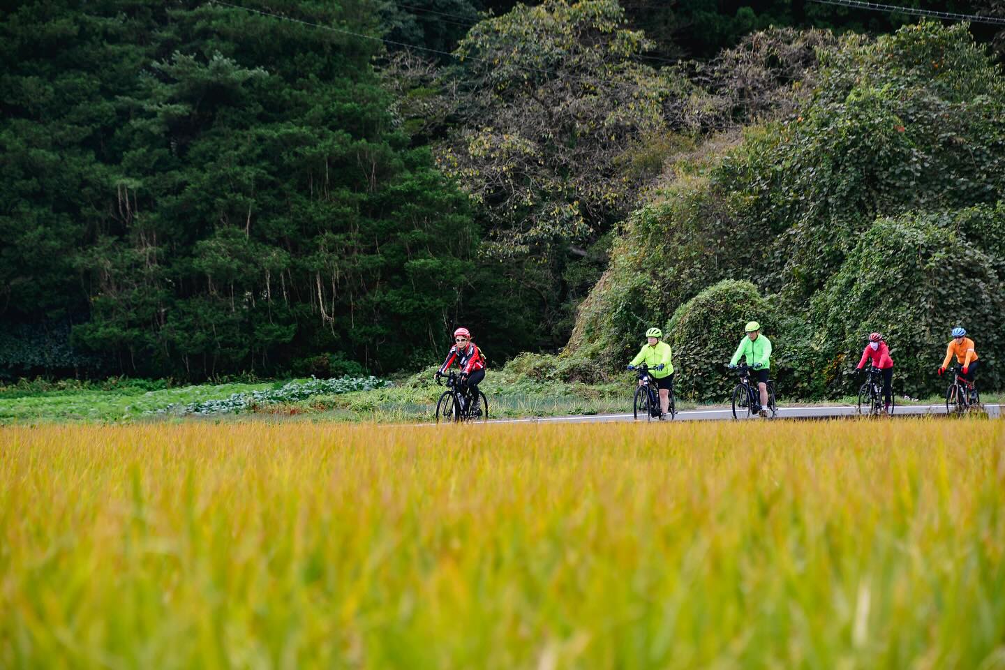 Exploring Nasu by Bike: Hidden Spots and Farm-Fresh Flavors