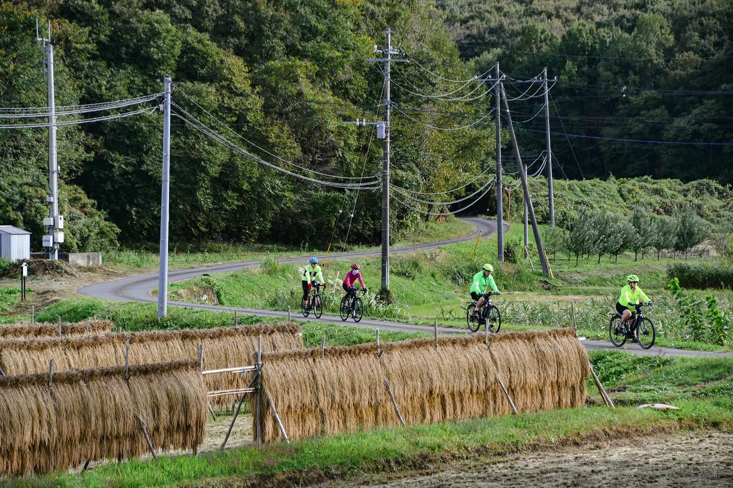 Exploring Nasu by Bike: Hidden Spots and Farm-Fresh Flavors