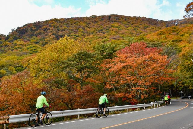 Autumn Foliage Adventure: Biking Through Nikko’s Vibrant Colors