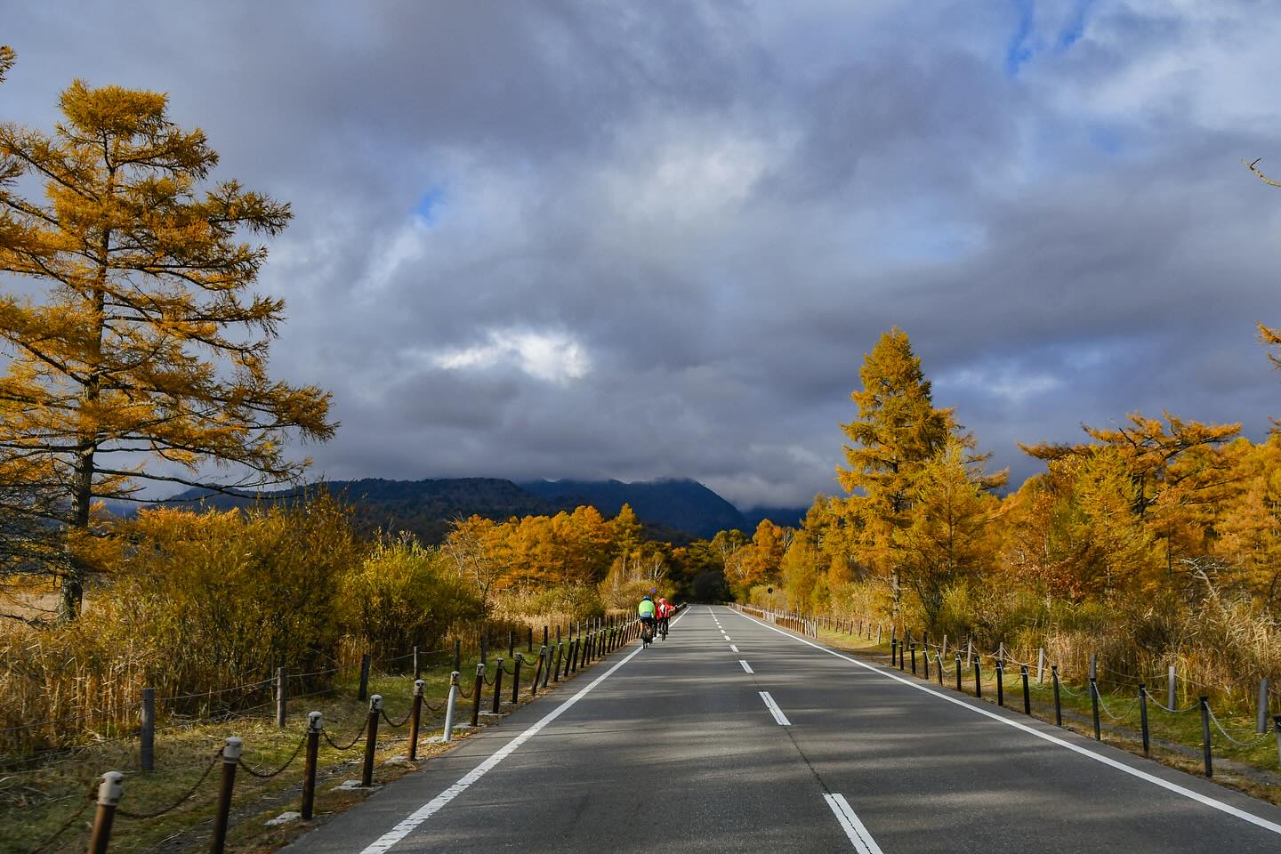 Autumn Foliage Adventure: Biking Through Nikko’s Vibrant Colors