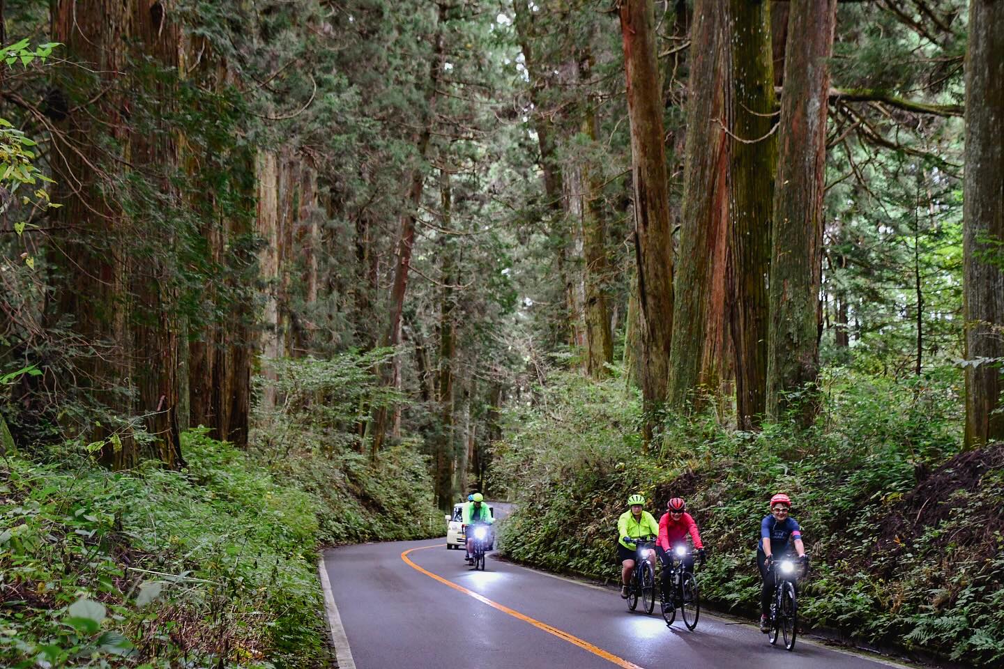 Autumn Foliage Adventure: Biking Through Nikko’s Vibrant Colors