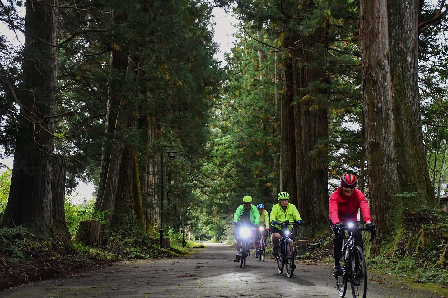 Autumn Foliage Adventure: Biking Through Nikko’s Vibrant Colors