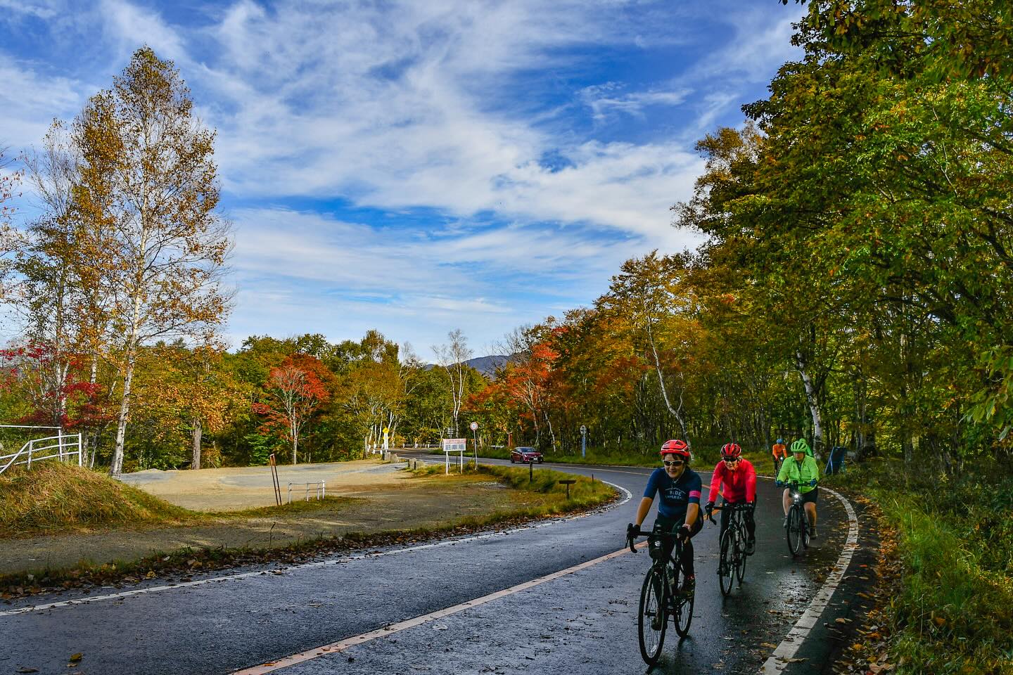 Autumn Foliage Adventure: Biking Through Nikko’s Vibrant Colors