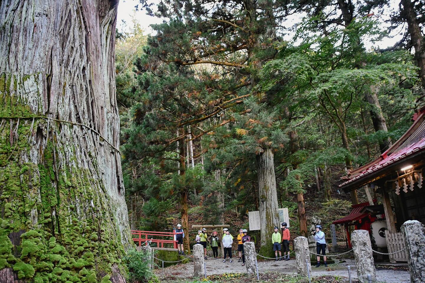 From Trails to Tastes: The Ongoing Foodie’s Bike Tour Nasu-Nikko