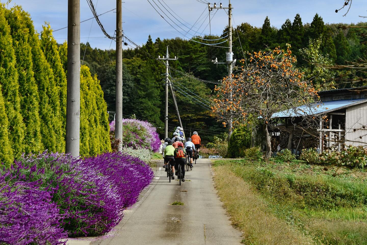 From Trails to Tastes: The Ongoing Foodie’s Bike Tour Nasu-Nikko