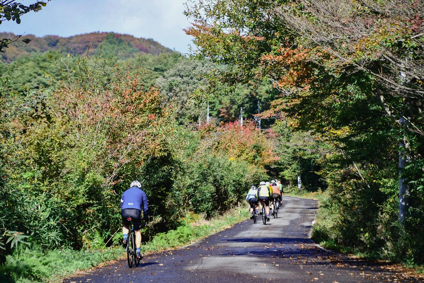 From Trails to Tastes: The Ongoing Foodie’s Bike Tour Nasu-Nikko