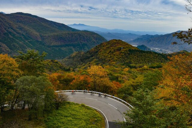 Golden Leaves and Great Company: Nikko’s Autumn Magic