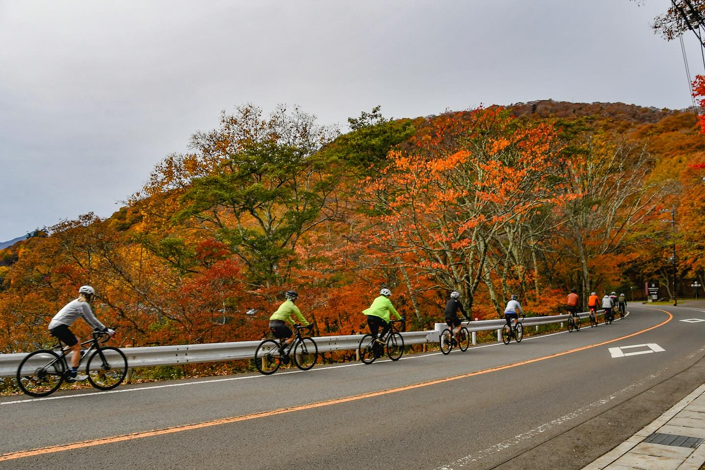 Golden Leaves and Great Company: Nikko’s Autumn Magic