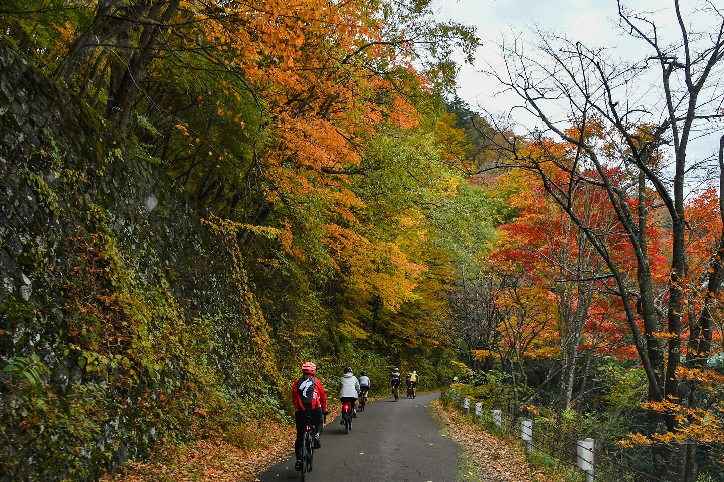 Golden Leaves and Great Company: Nikko’s Autumn Magic