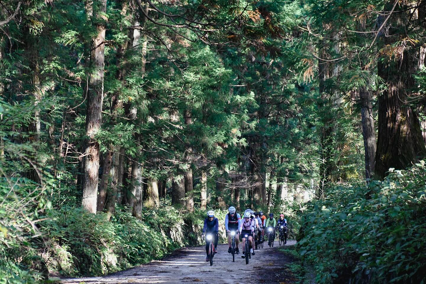 Golden Leaves and Great Company: Nikko’s Autumn Magic