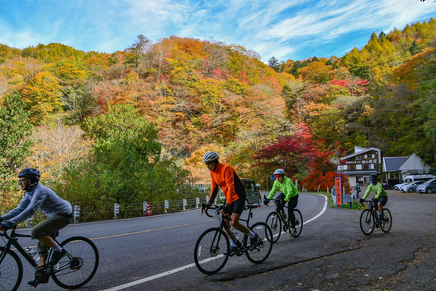 Golden Leaves and Great Company: Nikko’s Autumn Magic