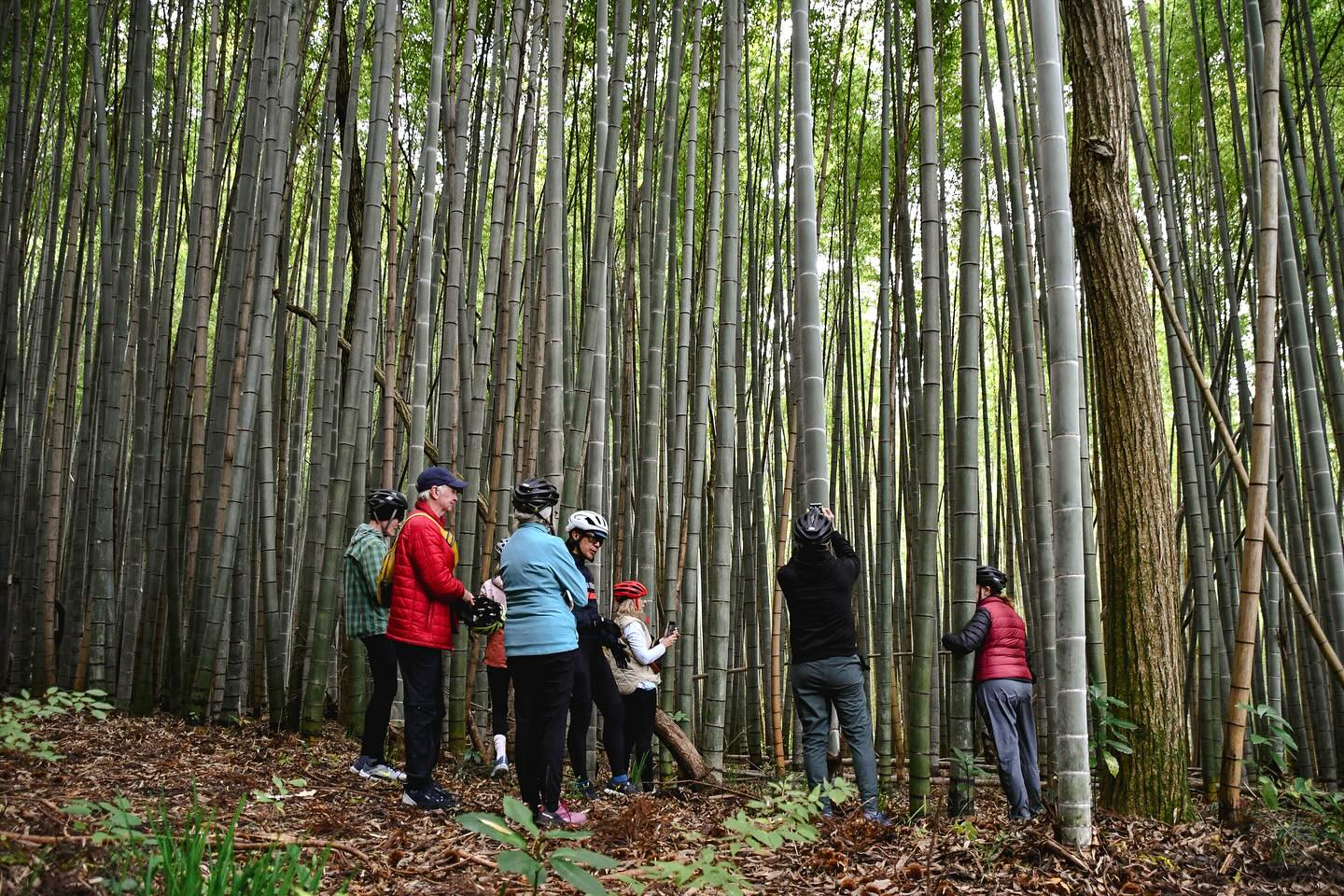 Tasting Hidden Treasures: Foodie’s Bike Tour Nasu-Nikko