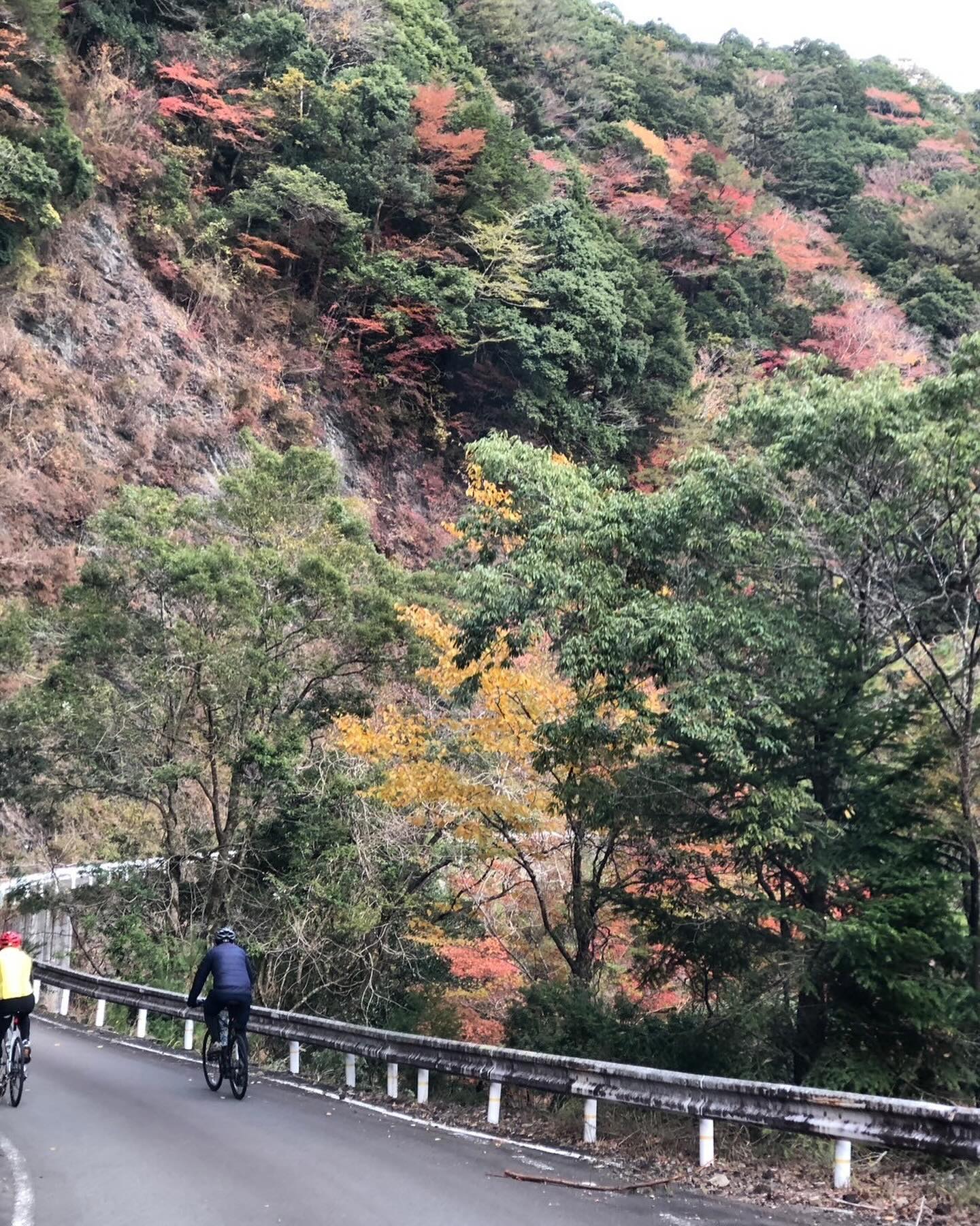 Autumn Foliage and Spiritual Discovery: KUMANO-KODO Pilgrimage Bike & Hike Tour