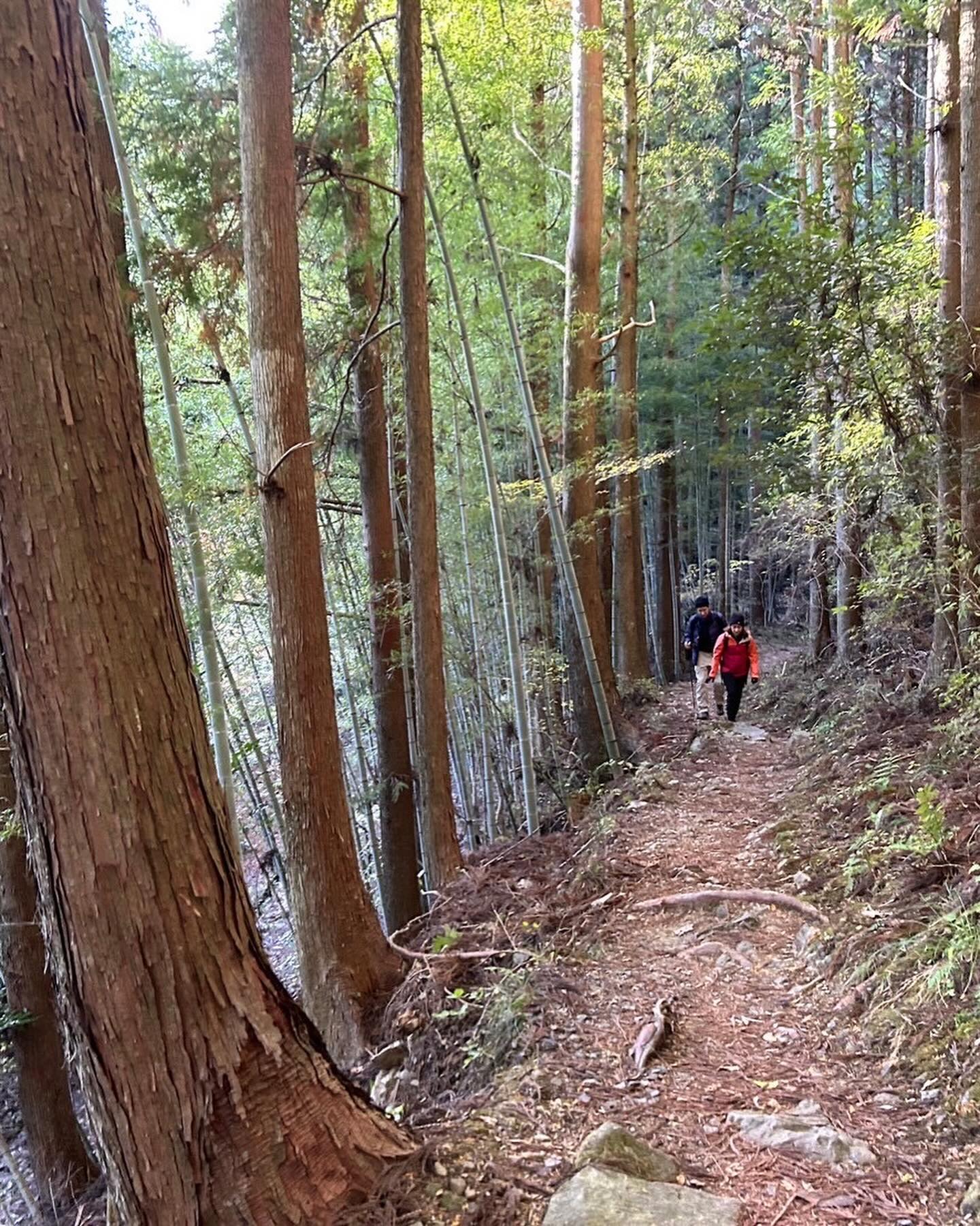 Autumn Foliage and Spiritual Discovery: KUMANO-KODO Pilgrimage Bike & Hike Tour