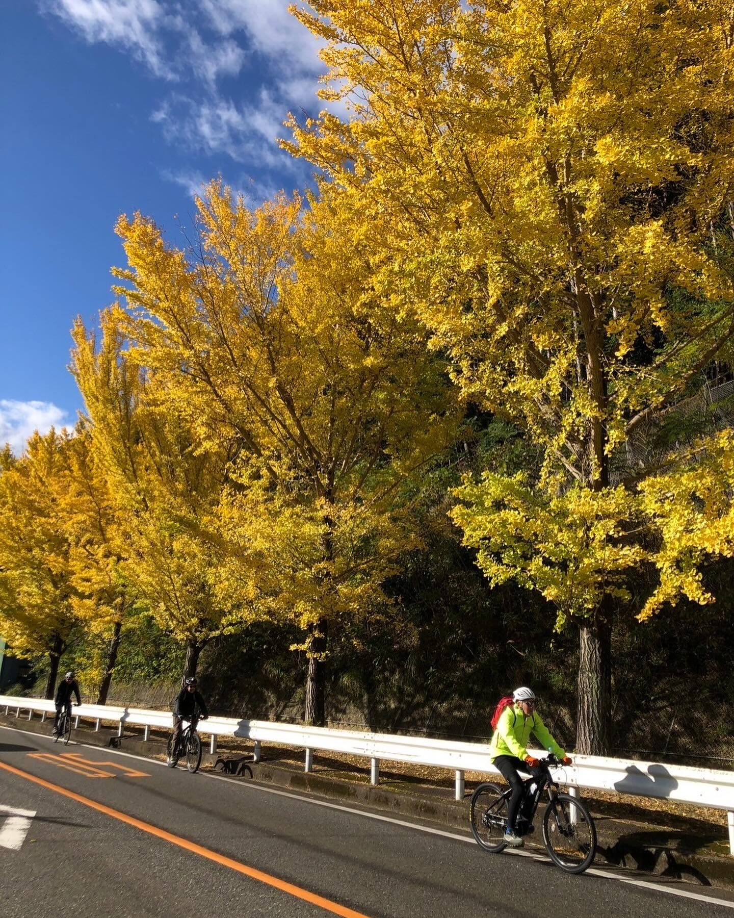 Autumn Foliage and Spiritual Discovery: KUMANO-KODO Pilgrimage Bike & Hike Tour