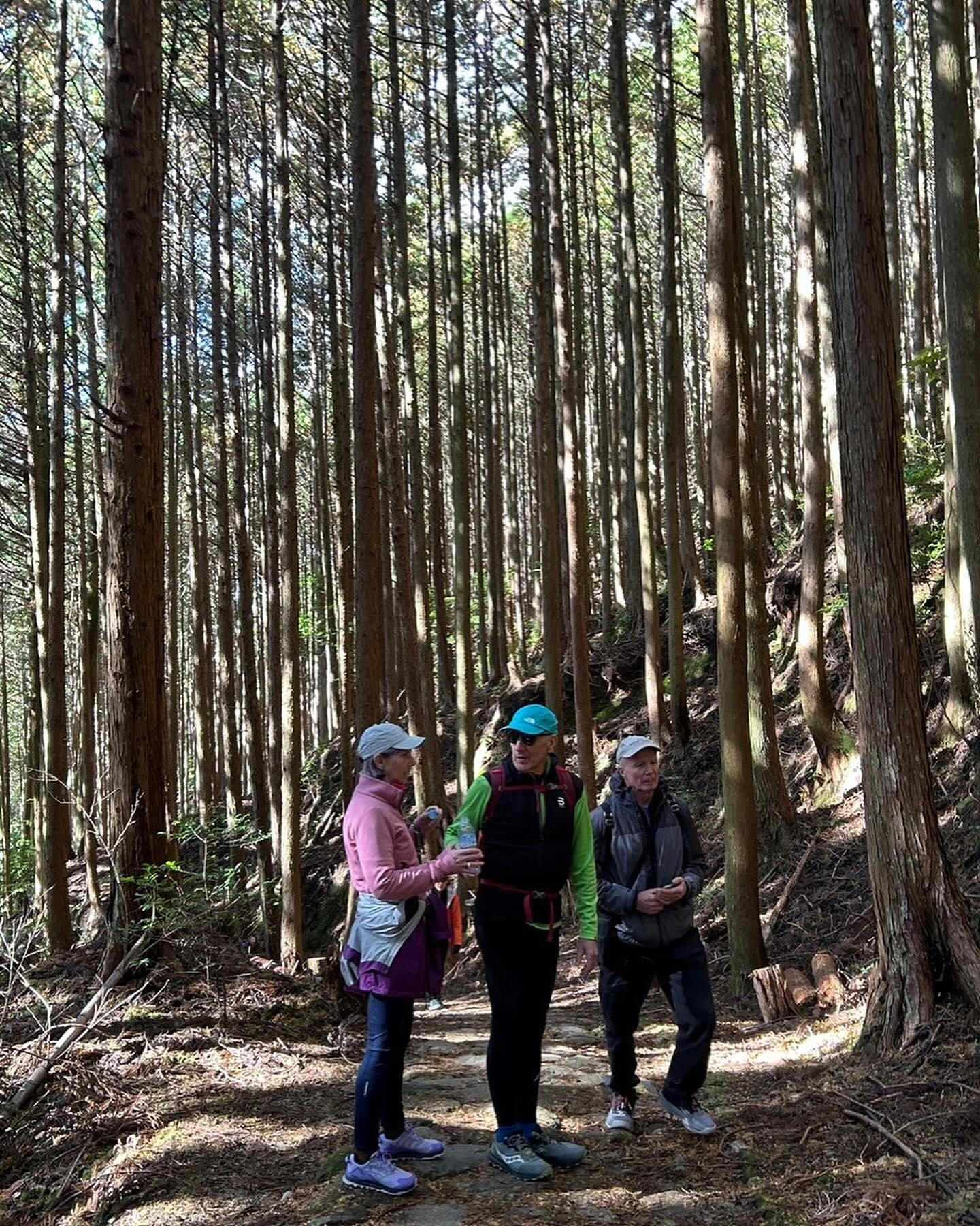 Autumn Foliage and Spiritual Discovery: KUMANO-KODO Pilgrimage Bike & Hike Tour