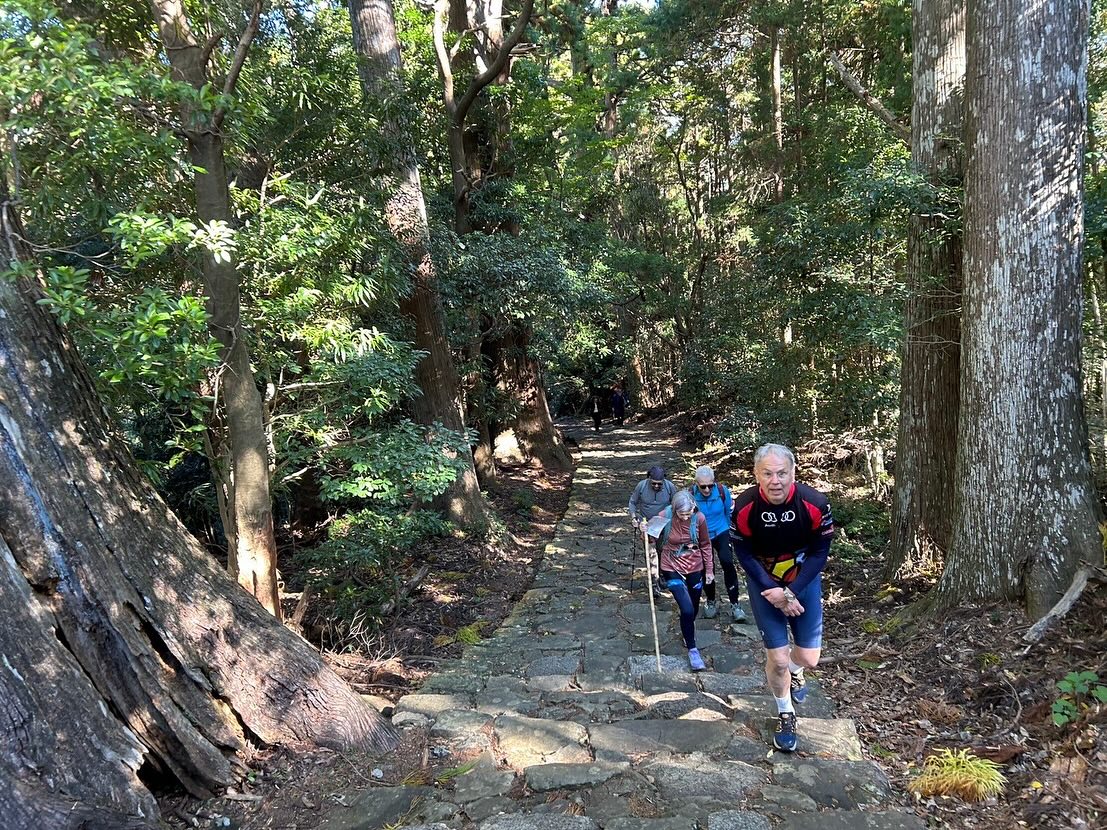 Cultural Wonders and Natural Splendor: Season’s End in Kumano