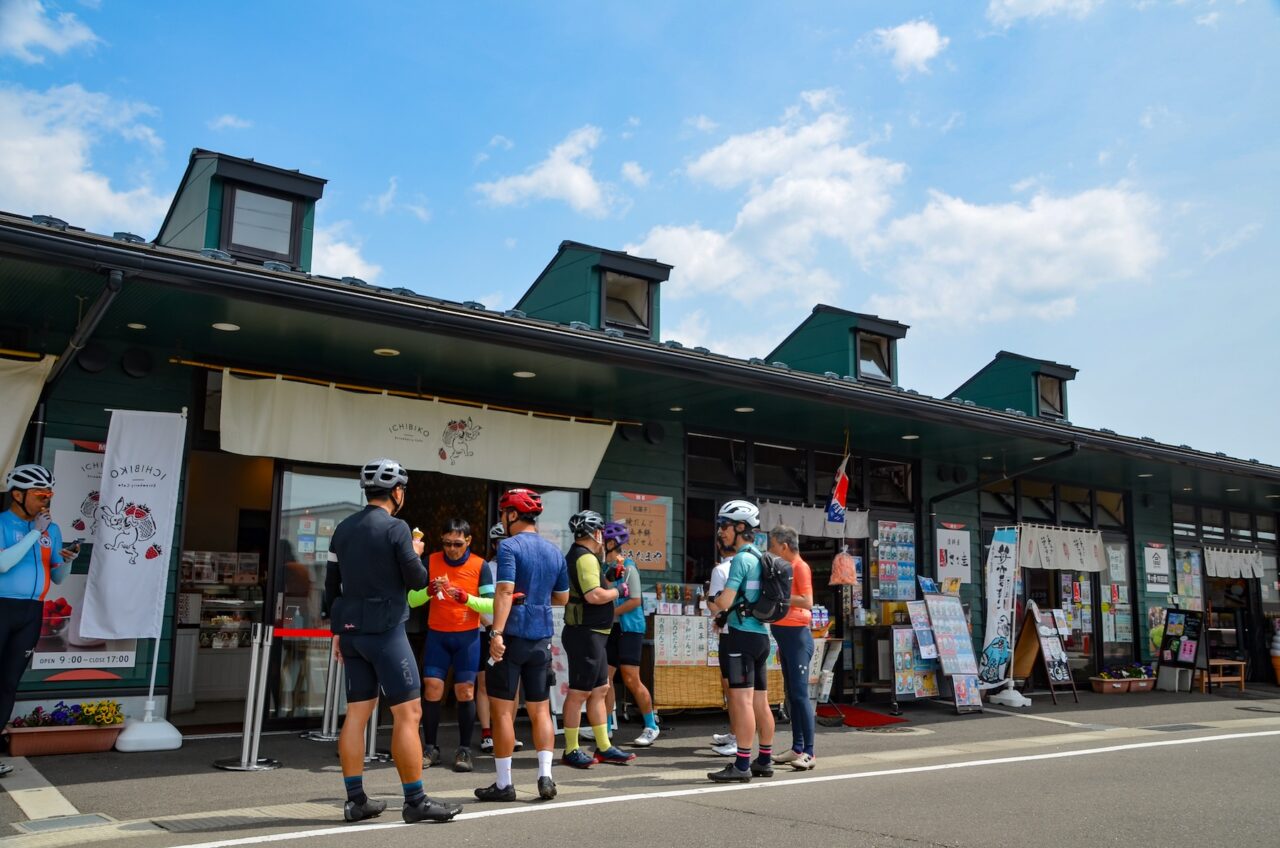 Tohoku SAKURA Bike Tour