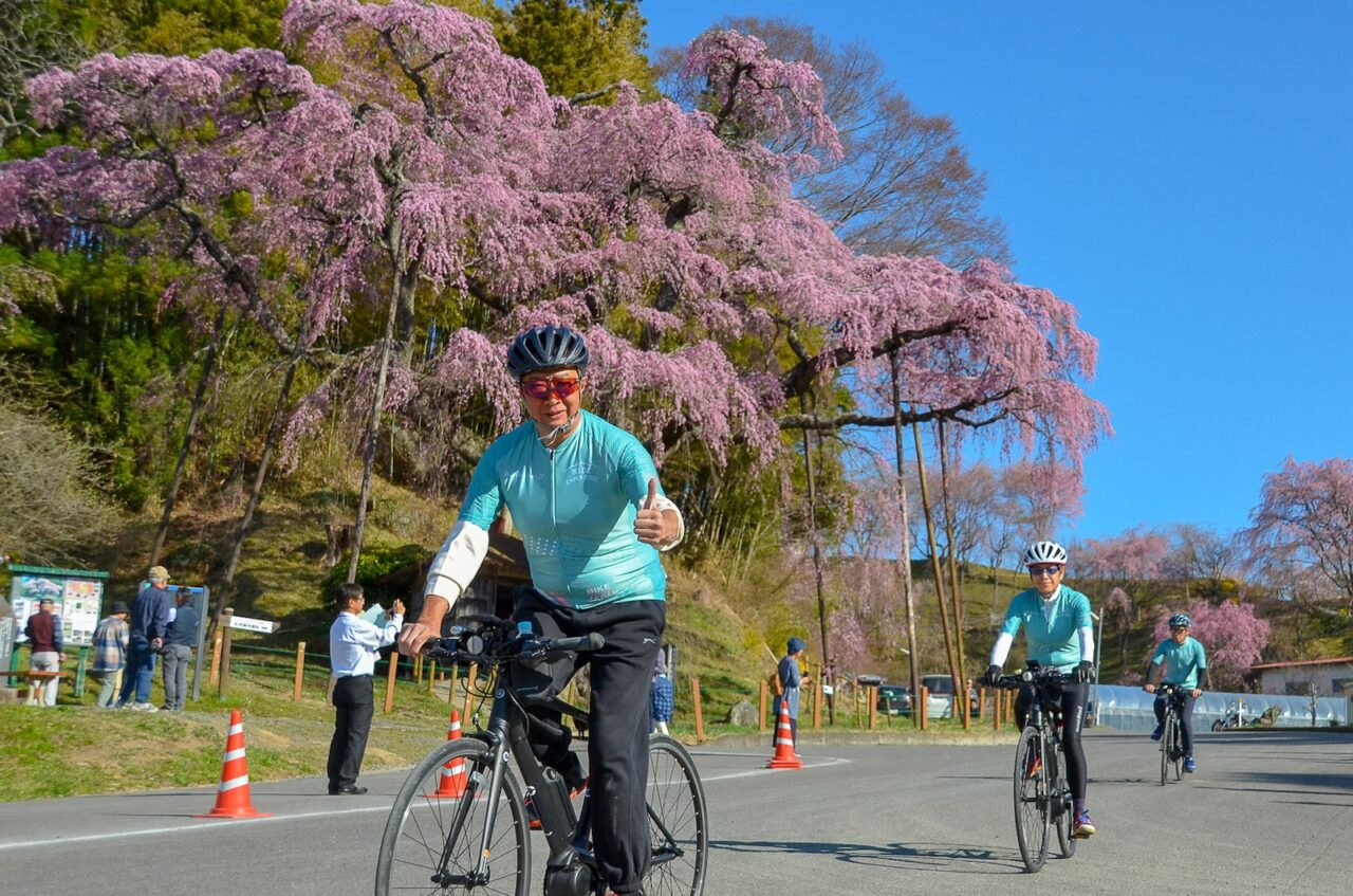 Tohoku SAKURA Bike Tour