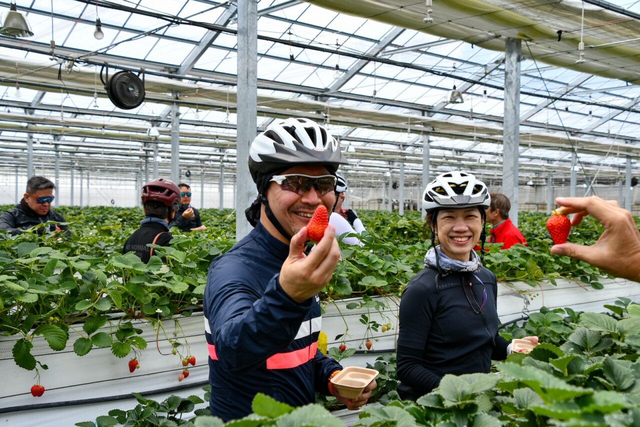 Tohoku SAKURA Bike Tour