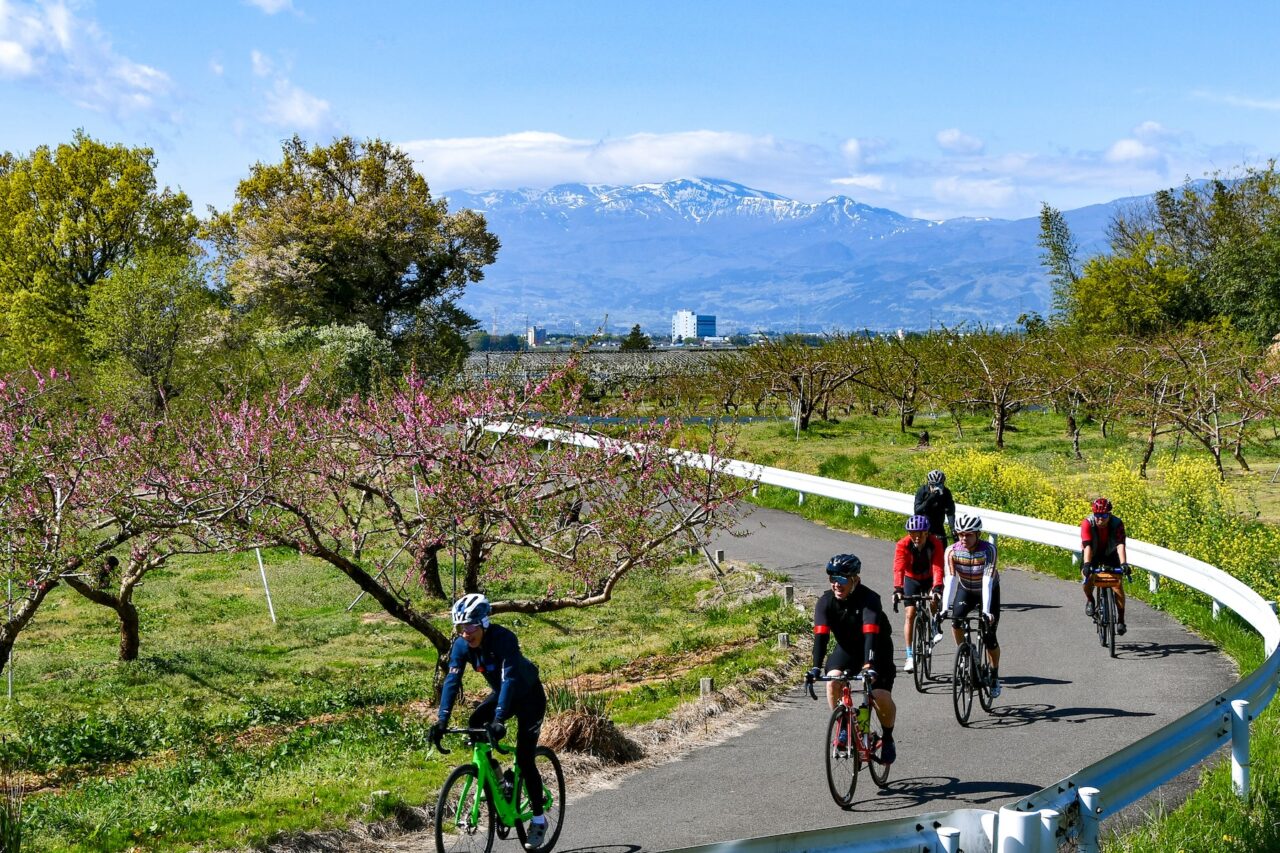 Tohoku SAKURA Bike Tour