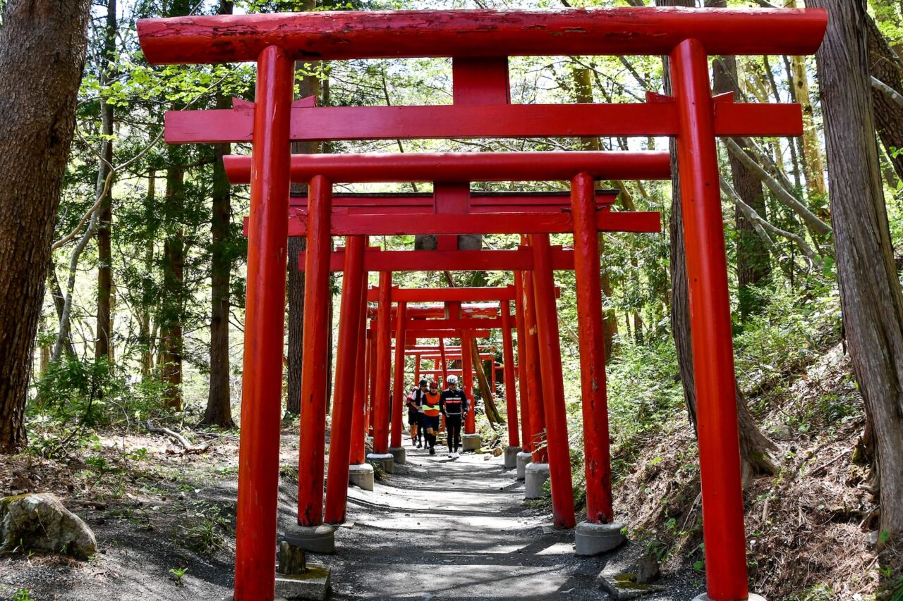 Tohoku SAKURA Bike Tour