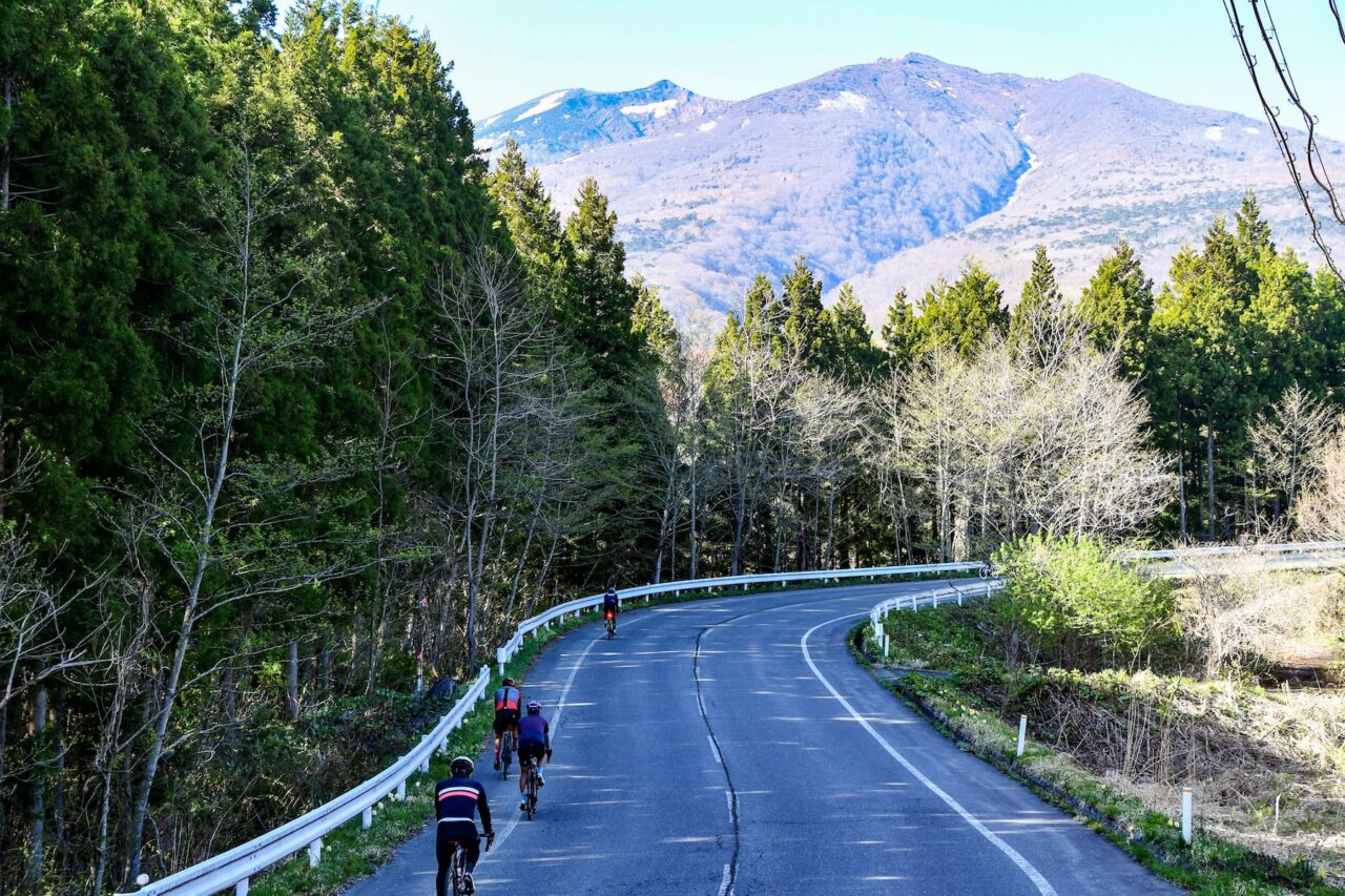 Tohoku SAKURA Bike Tour