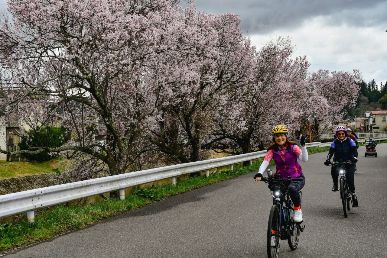 Tohoku SAKURA Bike Tour