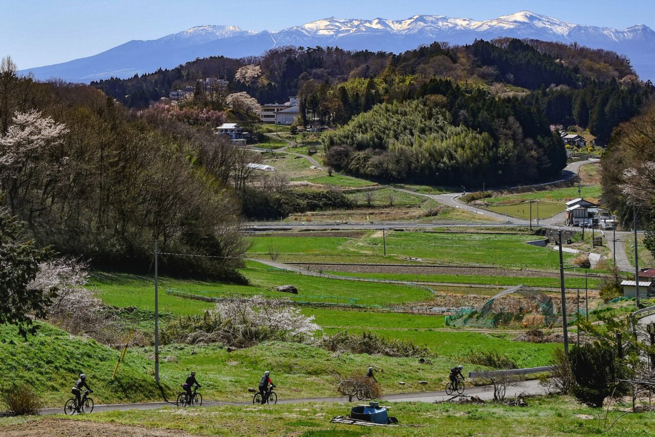 Tohoku SAKURA Bike Tour