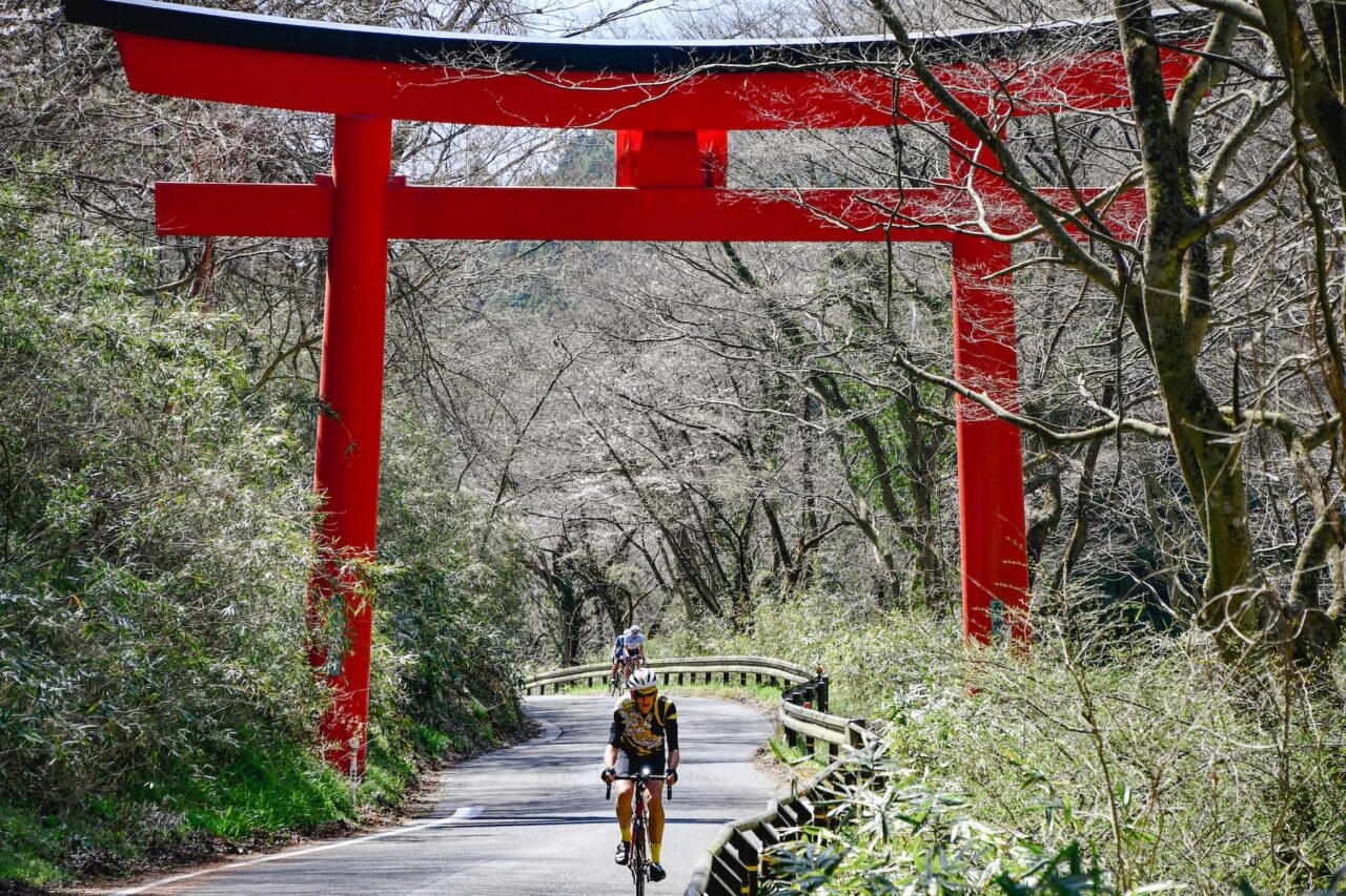 Tohoku SAKURA Bike Tour