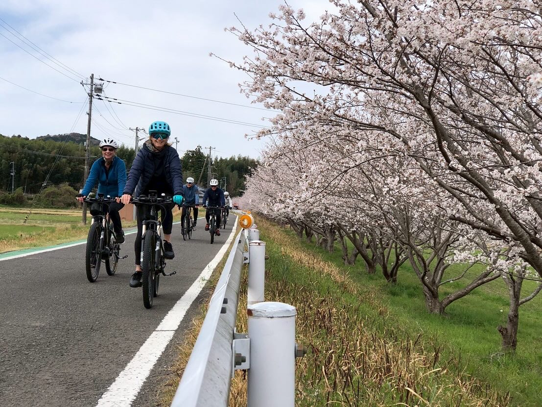 Wrapping Up Our Spring Kumano Kodo Tours