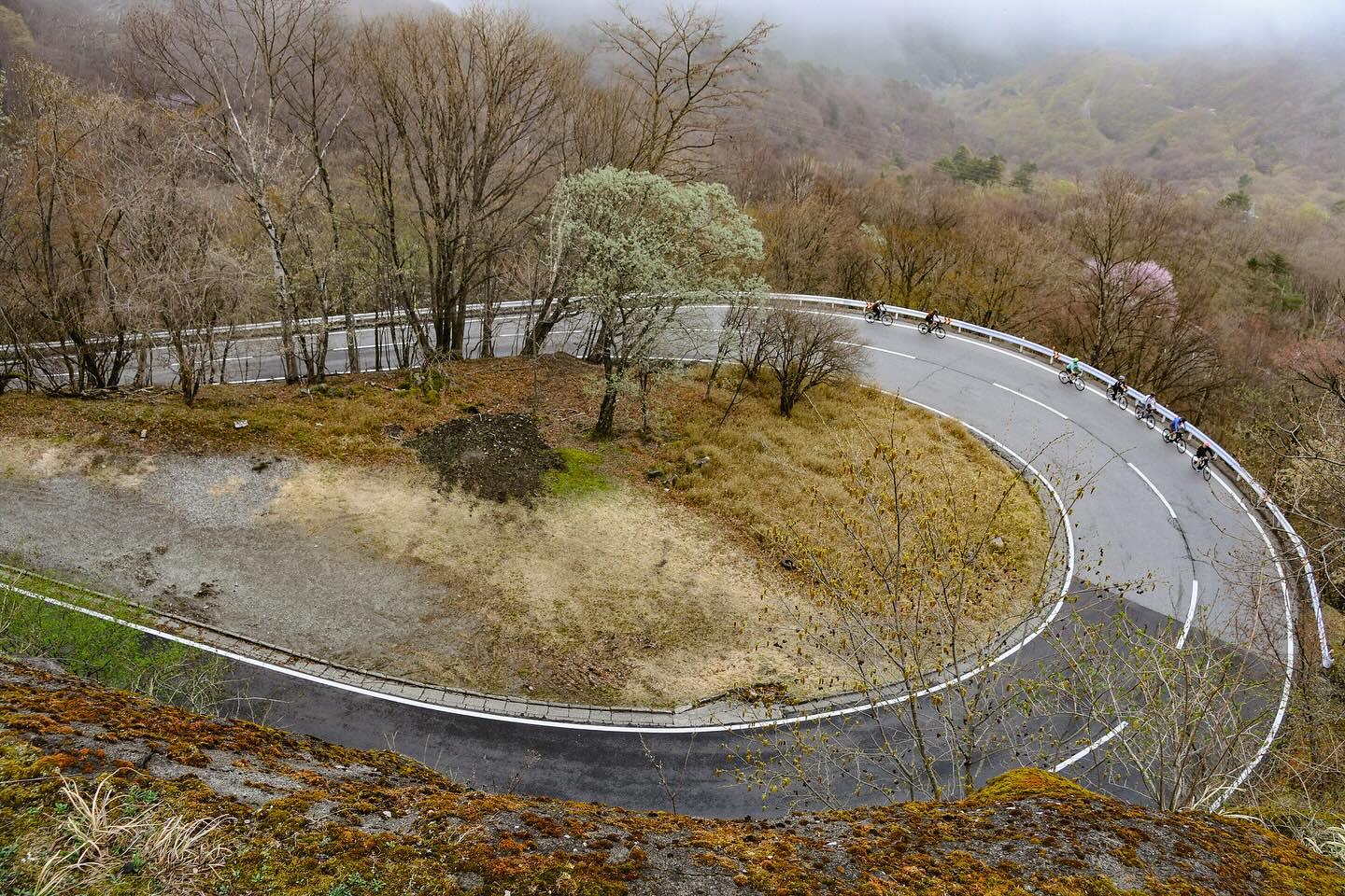 From Nasu to Nikko: Two Private Foodie’s Tours Complete!
