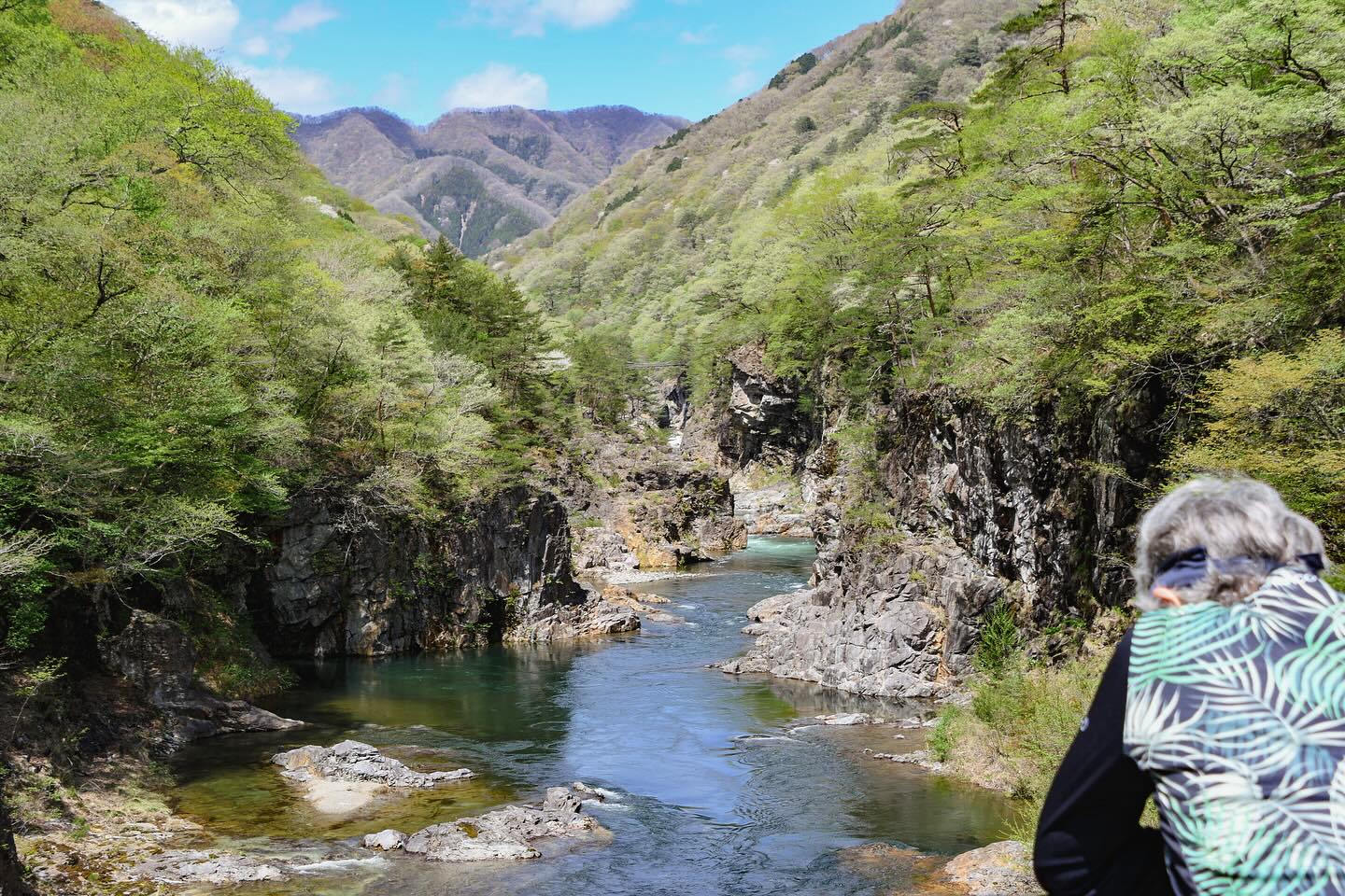 From Nasu to Nikko: Two Private Foodie’s Tours Complete!