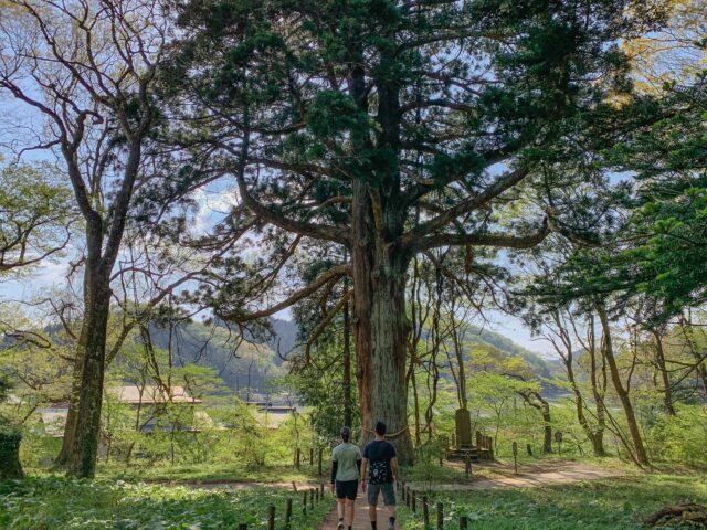 Slow Travel Starts in Nasu