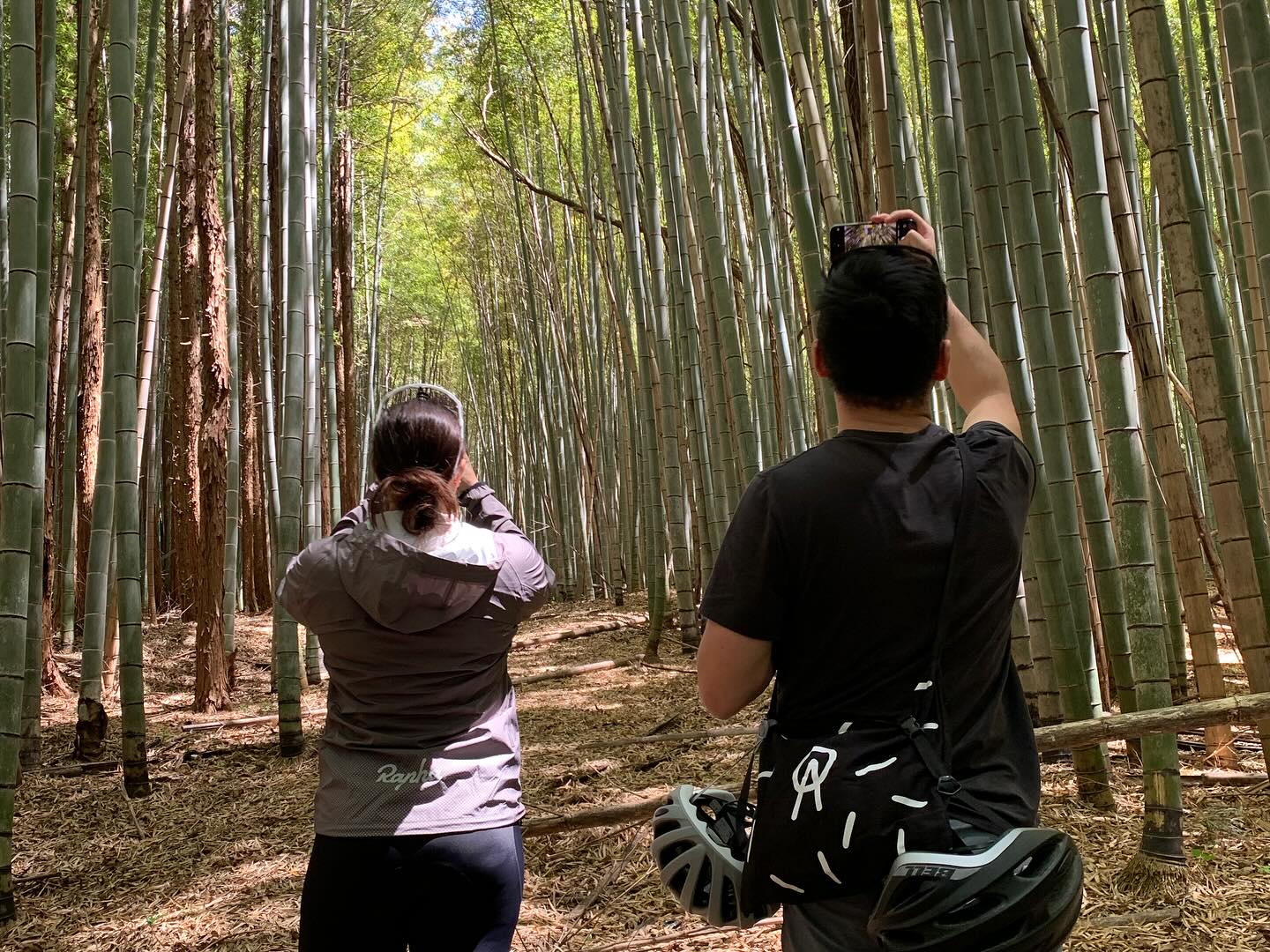 Slow Travel Starts in Nasu