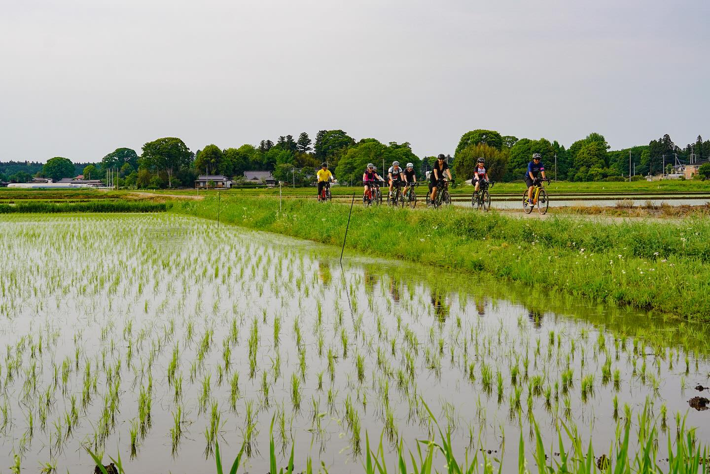 Cycling into Handicraft Traditions in Nasu