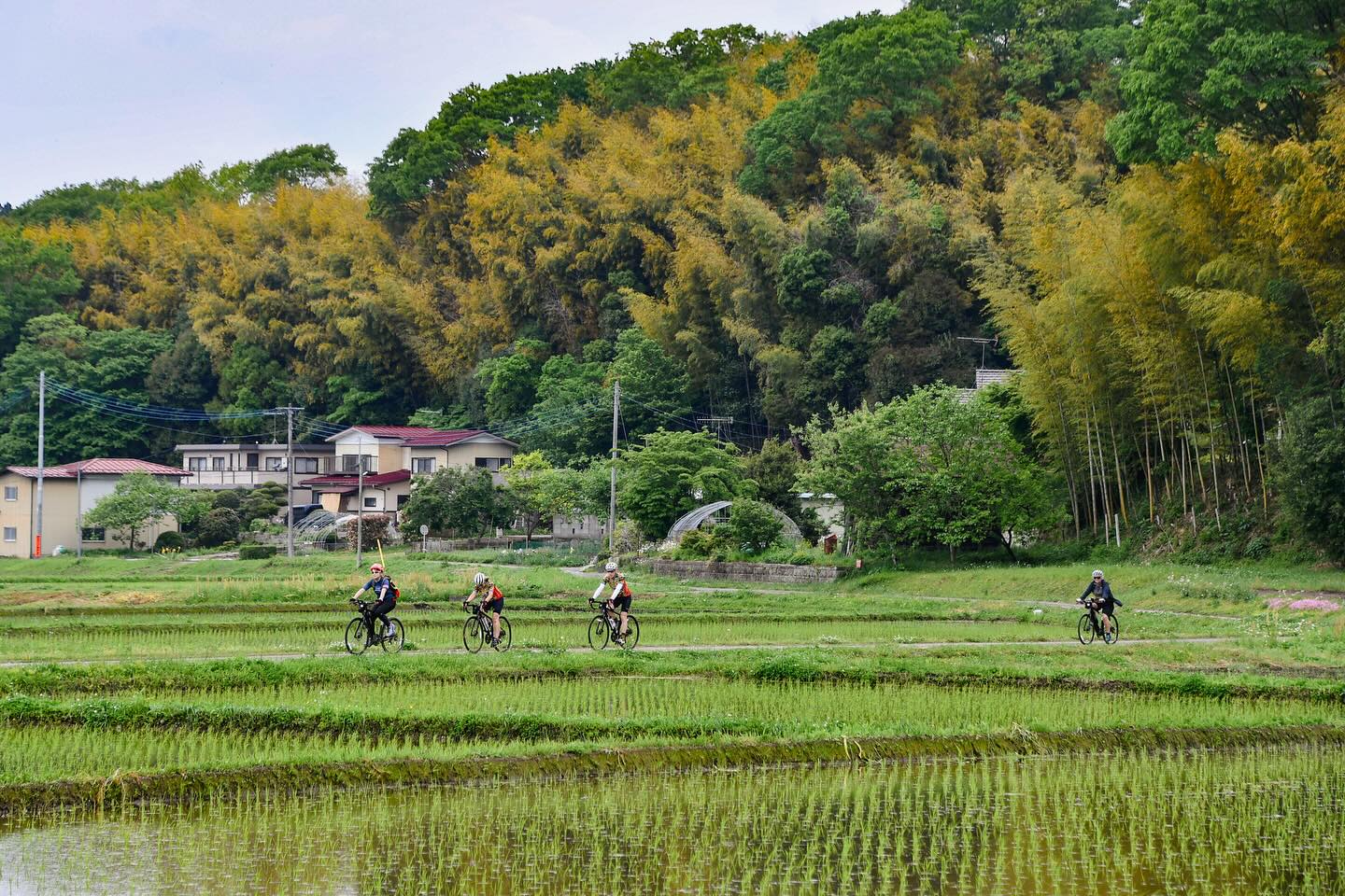 Traditions in Motion: Satoyama & Craft Bike Tour Now Underway