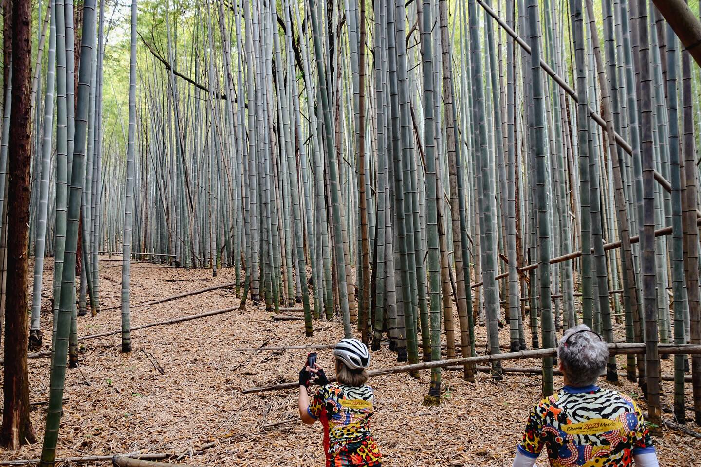 Traditions in Motion: Satoyama & Craft Bike Tour Now Underway