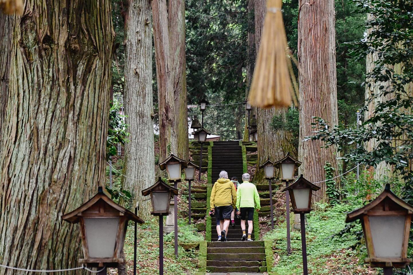 From Soil to Soul: Satoyama & Craft Tour Comes to a Close