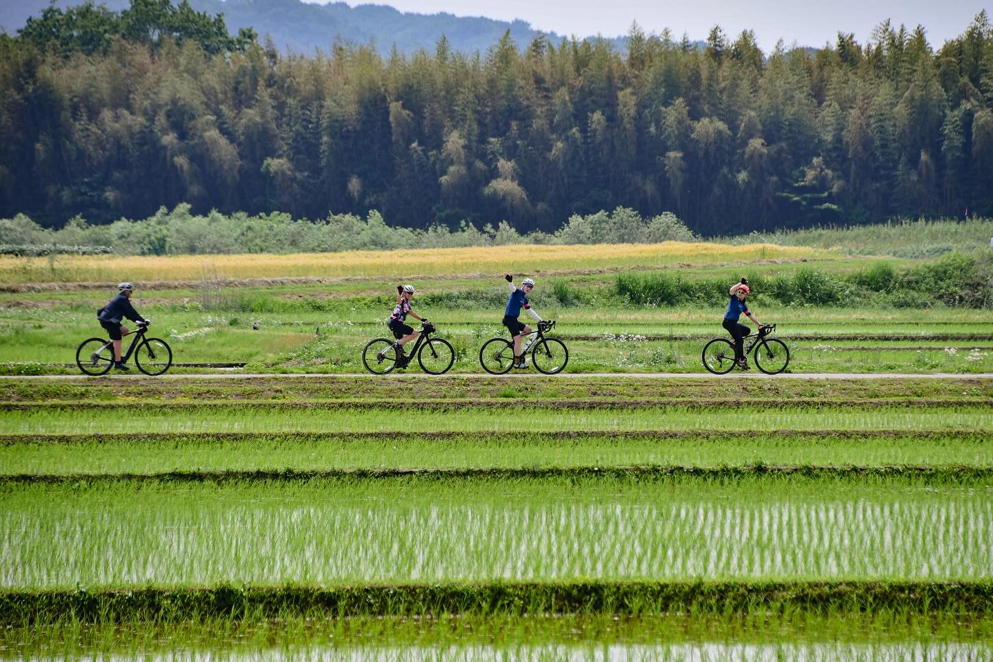 From Soil to Soul: Satoyama & Craft Tour Comes to a Close