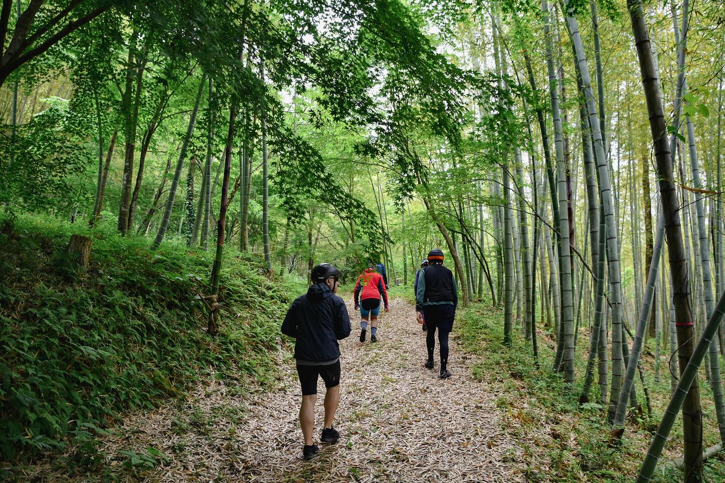 A Taste of Rural Japan: Foodie’s Bike Tour Nasu–Nikko