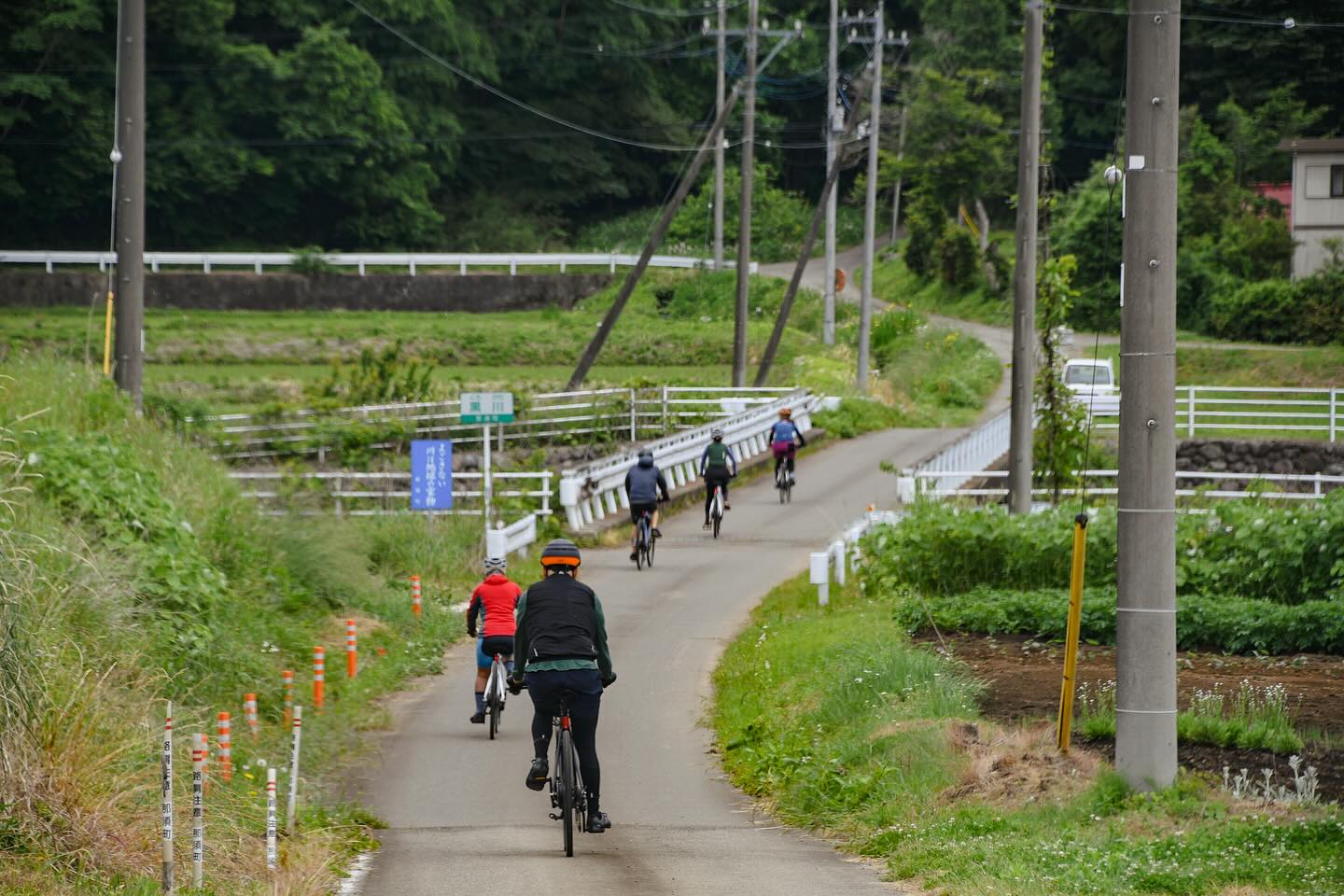 A Taste of Rural Japan: Foodie’s Bike Tour Nasu–Nikko